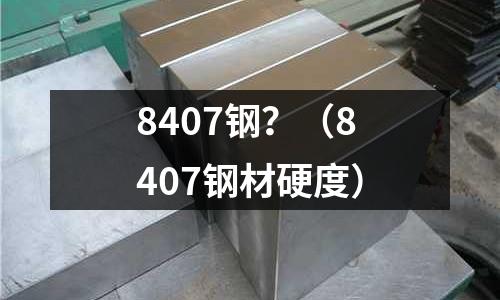 8407钢？（8407钢材硬度）