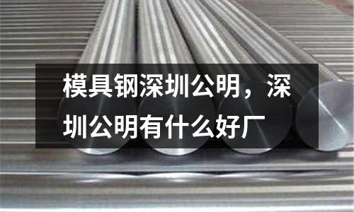 模具钢深圳公明，深圳公明有什么好厂