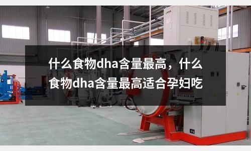 什么食物dha含量最高，什么食物dha含量最高适合孕妇吃