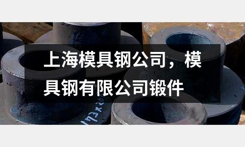 上海模具钢公司，模具钢有限公司锻件