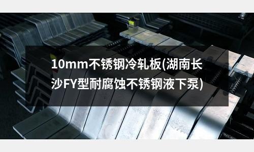 10mm不锈钢冷轧板(湖南长沙FY型耐腐蚀不锈钢液下泵)