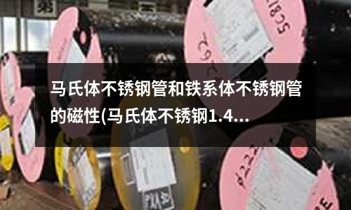 马氏体不锈钢管和铁系体不锈钢管的磁性(马氏体不锈钢1.4021不锈钢化学成分)