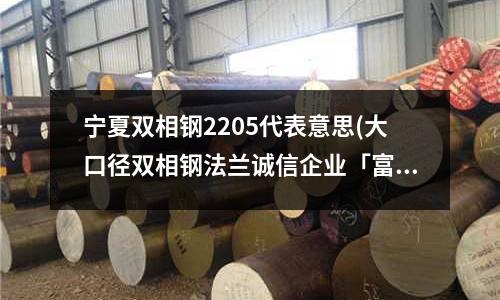 宁夏双相钢2205代表意思(大口径双相钢法兰诚信企业「富宇法兰」)