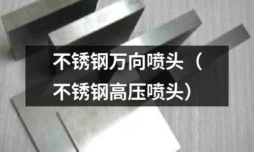 不锈钢万向喷头（不锈钢高压喷头）