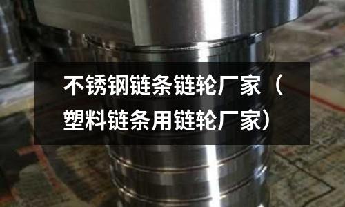 不锈钢链条链轮厂家（塑料链条用链轮厂家）