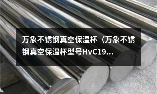 万象不锈钢真空保温杯（万象不锈钢真空保温杯型号HvC19102一46L价格）