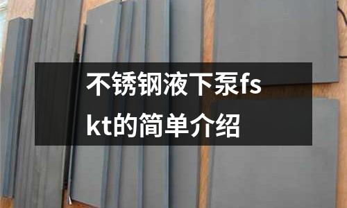 不锈钢液下泵fskt的简单介绍