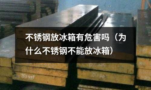 不锈钢放冰箱有危害吗（为什么不锈钢不能放冰箱）