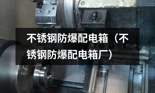 不锈钢防爆配电箱（不锈钢防爆配电箱厂）