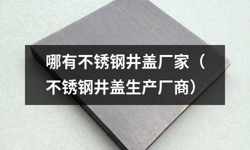 哪有不锈钢井盖厂家（不锈钢井盖生产厂商）