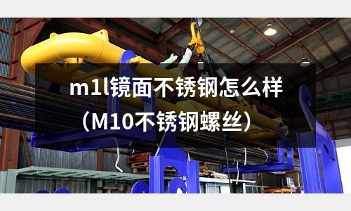 m1l镜面不锈钢怎么样（M10不锈钢螺丝）