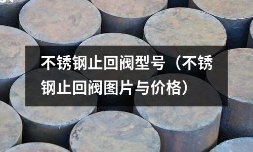 不锈钢止回阀型号（不锈钢止回阀图片与价格）