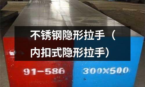不锈钢隐形拉手（内扣式隐形拉手）