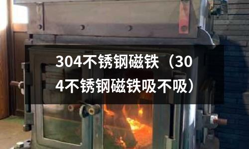 304不锈钢磁铁（304不锈钢磁铁吸不吸）