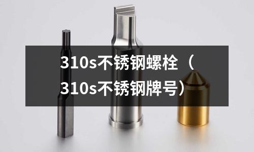 310s不锈钢螺栓（310s不锈钢牌号）