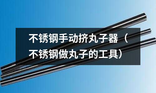 不锈钢手动挤丸子器（不锈钢做丸子的工具）