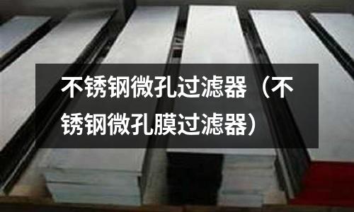 不锈钢微孔过滤器（不锈钢微孔膜过滤器）