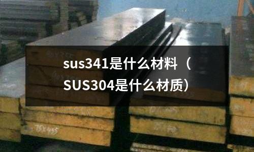 sus341是什么材料（SUS304是什么材质）
