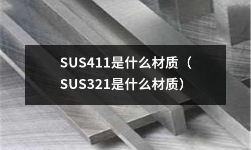 SUS411是什么材质（SUS321是什么材质）