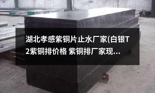 湖北孝感紫铜片止水厂家(白银T2紫铜排价格 紫铜排厂家现货)