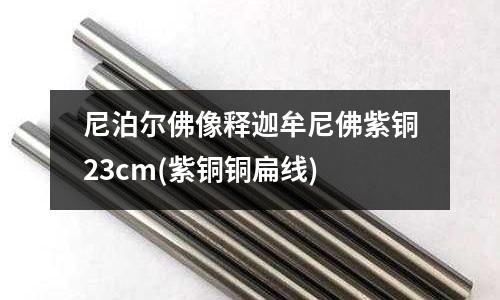 尼泊尔佛像释迦牟尼佛紫铜23cm(紫铜铜扁线)