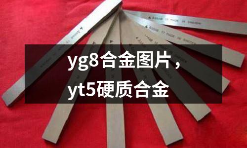 yg8合金图片，yt5硬质合金