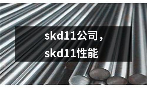 skd11公司，skd11性能