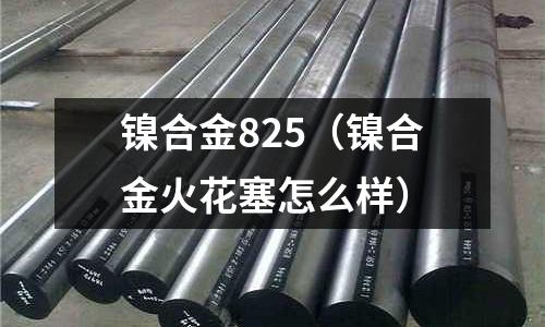 镍合金825（镍合金火花塞怎么样）
